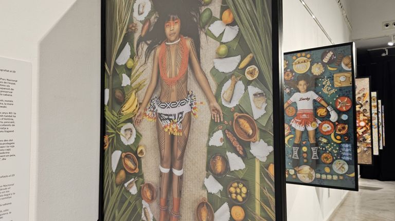 “PAN”, una radiografía visual de la alimentación infantil mundial