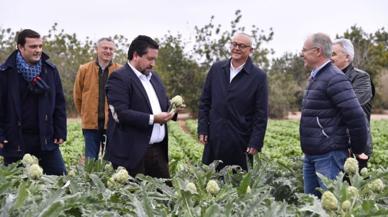 La Diputación fomenta la calidad de la alcachofa de Benicarló como producto emblemático de la provincia con Castelló Ruta de Sabor