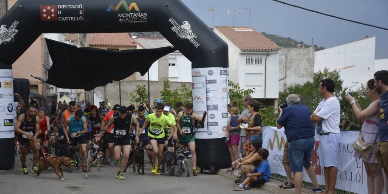  La Diputación dinamizará la provincia con seis competiciones este fin de semana con 'Castellón Escenario Deportivo'