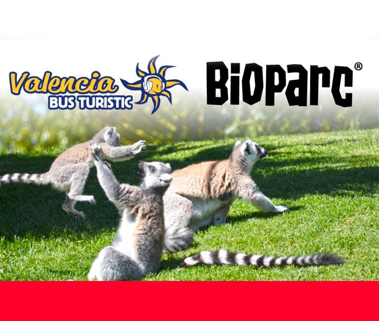 Valencia Bus Turistic + Bioparc